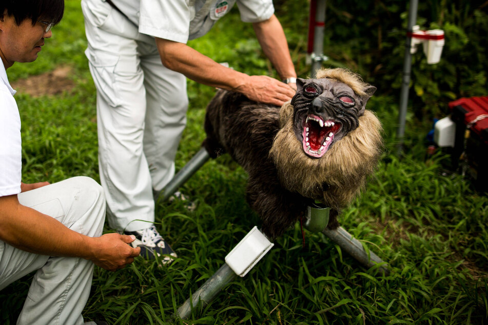Japanese company invents terrifying robots to scare away bears