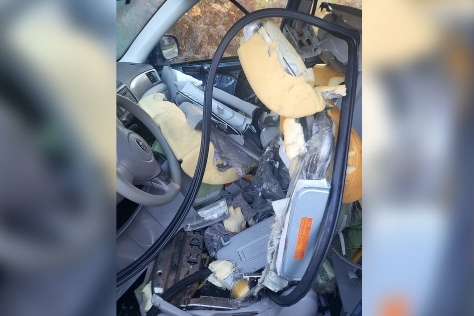 The animal left an extremely devastated interior behind.
