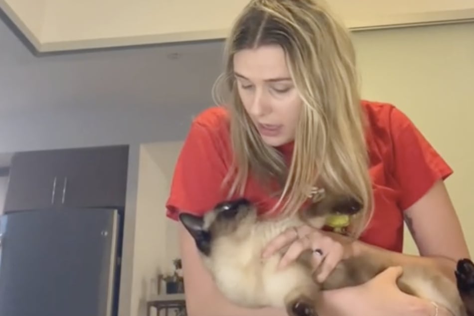 Whenever TikToker Danielle Voit tries to serenade her cat with Christmas carols, Bean the Siamese can't hide her adorable distaste for the festive tunes.