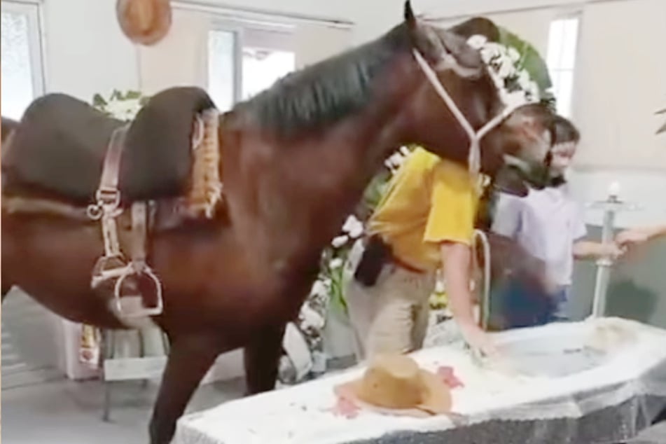 Horse's reaction to owner's open-casket funeral breaks countless hearts online