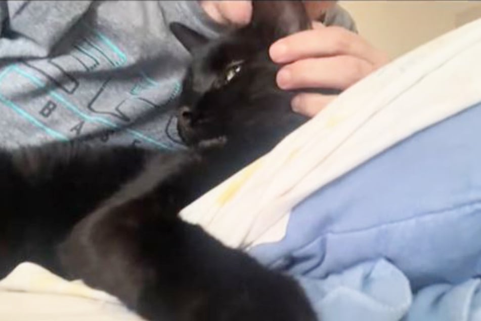 This outdoor cat goes by the unusual name of Papa Legba.