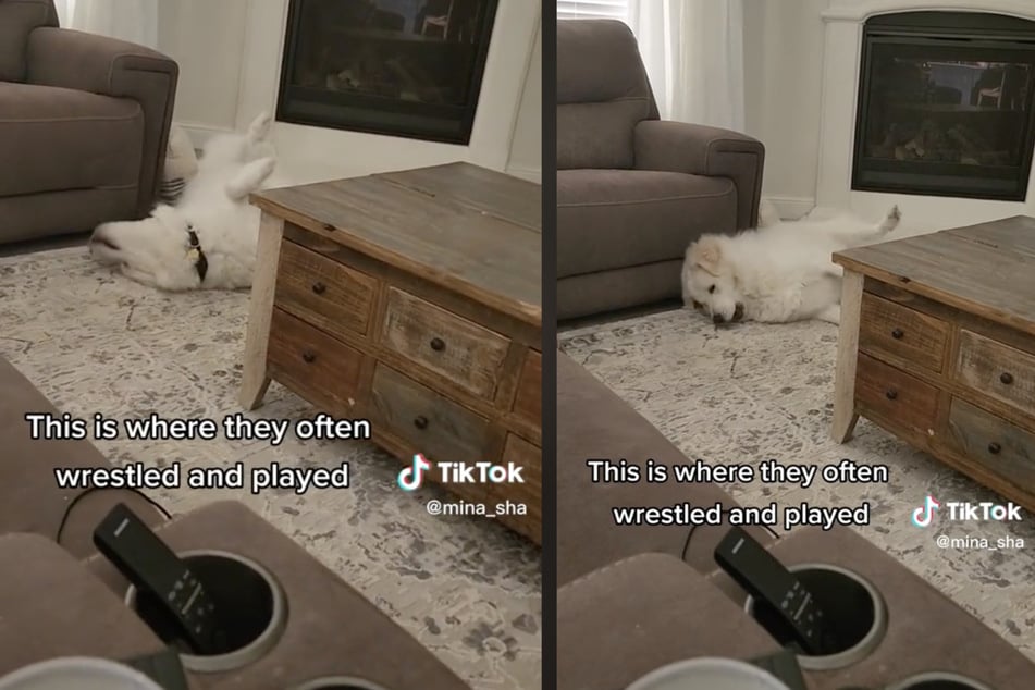 Hodor longs for the good old days of playing with Mala in their favorite spot.