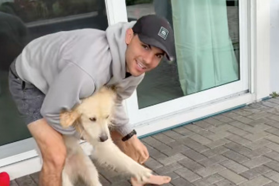 At first, Corey Moriarty was still able to laugh at the cheeky little dog's antics.
