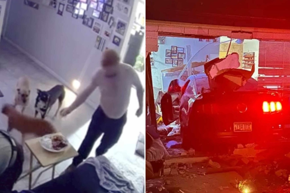 The working week was over and the weekend was about to begin with dinner. Suddenly there was a huge shattering crash and the lives of two people and their beloved dogs changed forever!