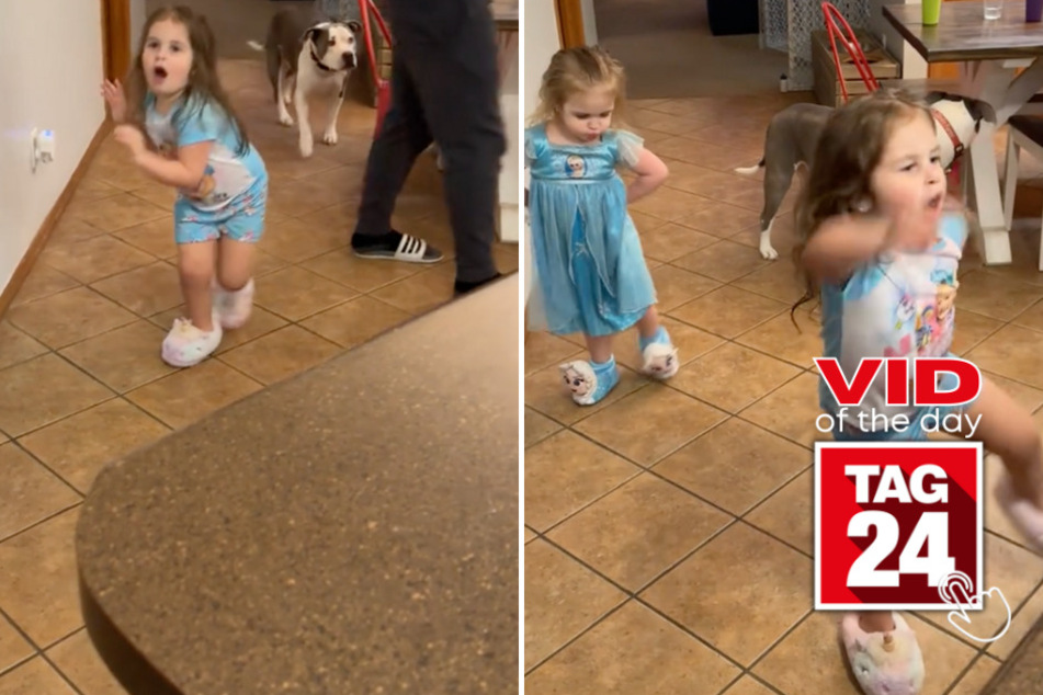 Viral Video of the Day for December 15, 2023: Swiftie sisters throw mini-Eras Tour in kitchen!