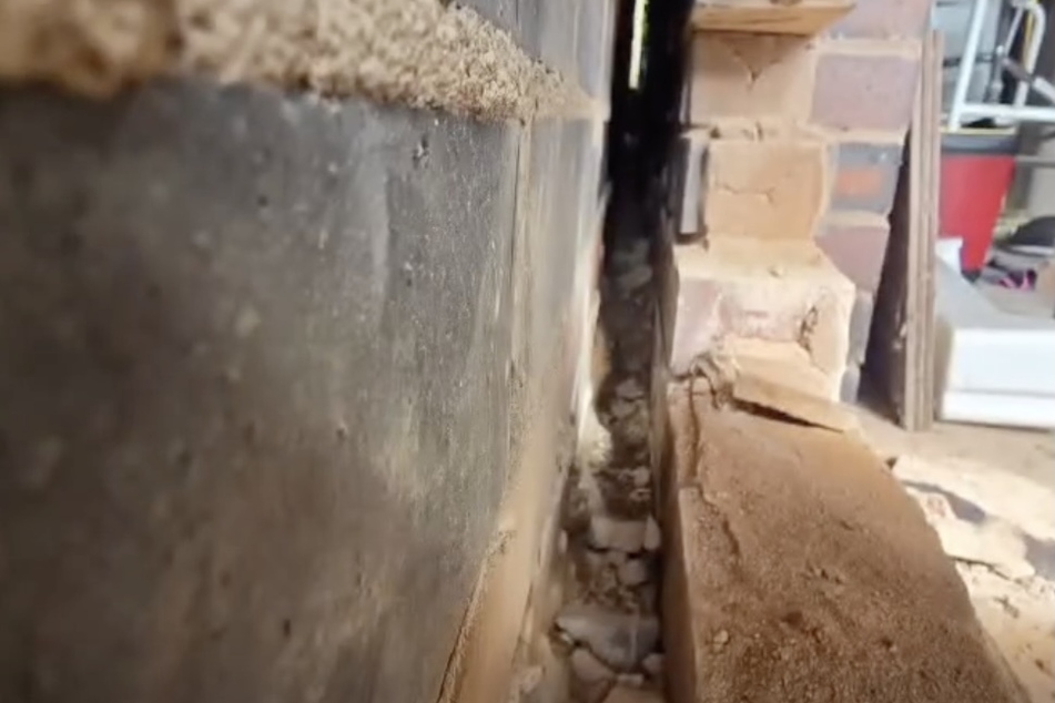 The foxes were stuck in a tiny crevice.