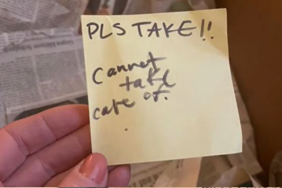 This note made thousands of TikTokers weep.