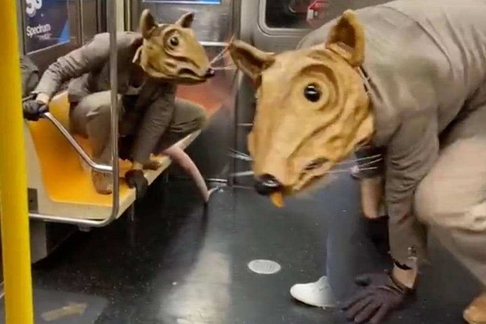 Only in New York: giant subway rat leaves commuters unimpressed
