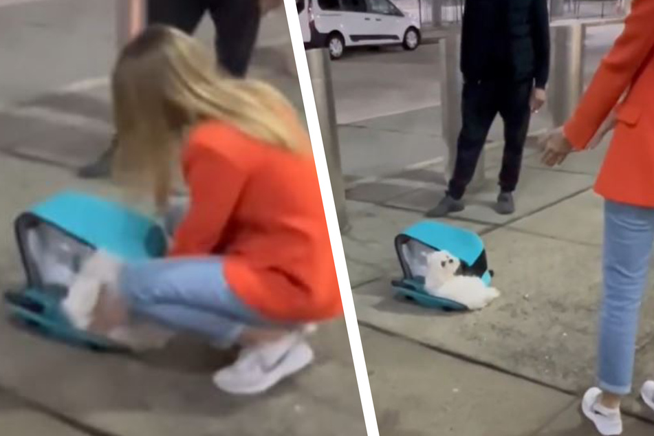 Ukrainian dog reunited with his human in heart-melting airport scene