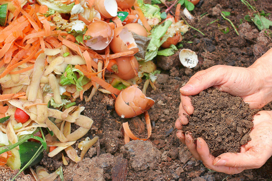 Earth Day: Composting - How it works and how to try it the easy way