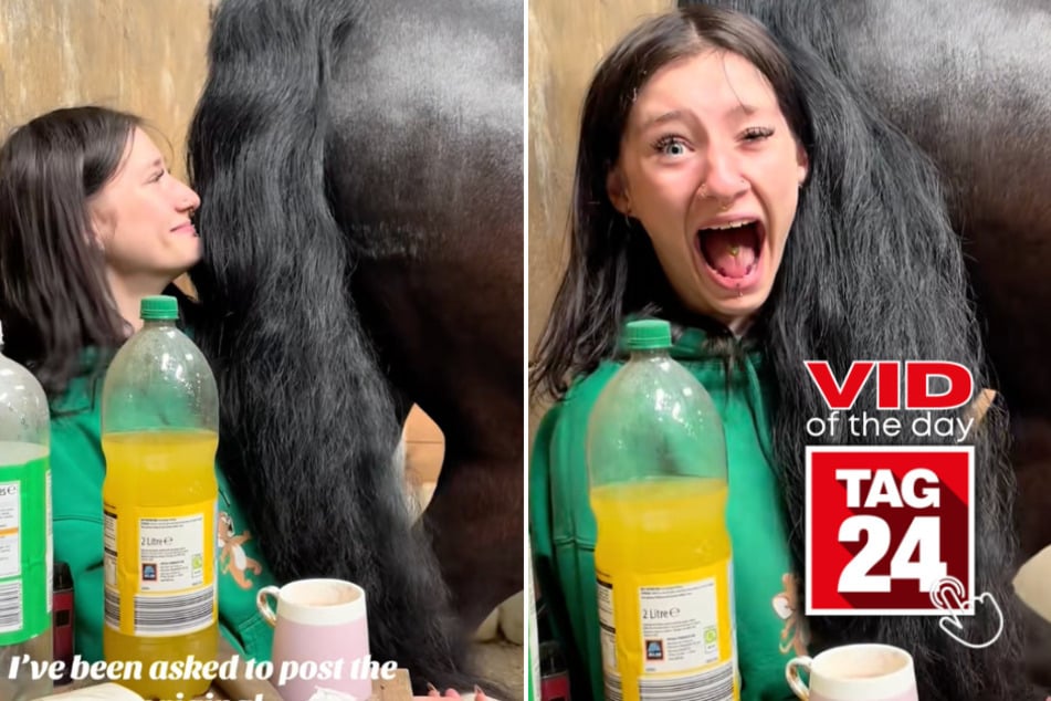 Viral Video of the Day for August 31, 2025: Hilarious horse fart has TikTokers in tears of laughter
