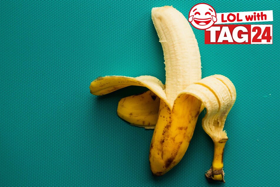 Today's Joke of the Day is B-A-N-A-N-A-S.