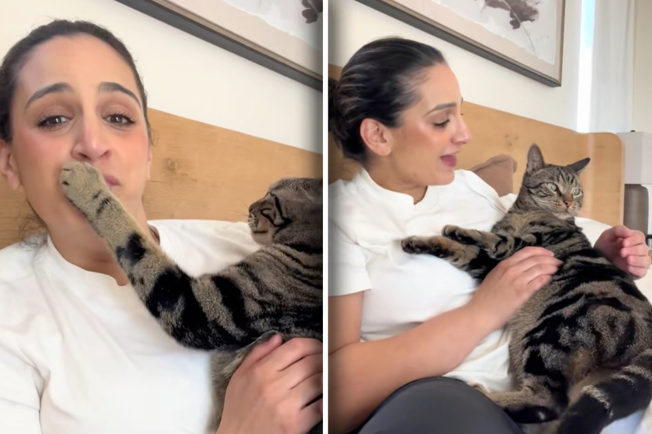Is Chase the cat deliberately keeping his owner Fifi Furrha's mouth shut?