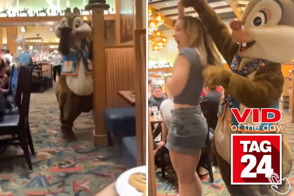 Today's Viral Video of the Day features a girl on TikTok at a Disney character brunch that Chip and Dale were going nuts over!