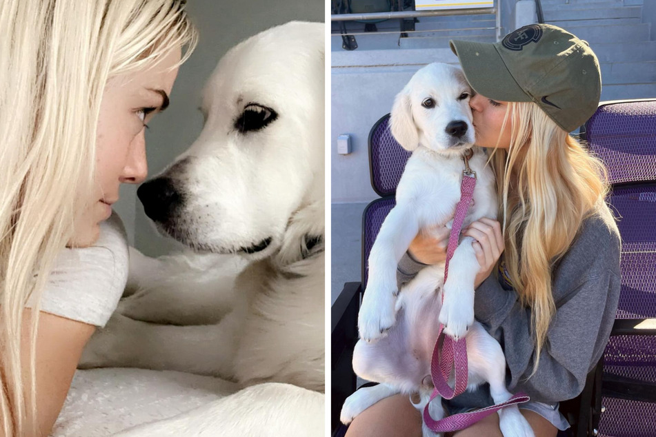 Olivia Dunne and pup Roux face off in hilarious challenge