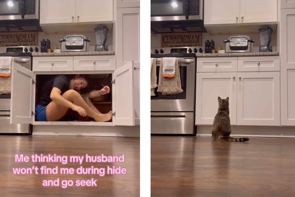 Someone needs to explain the rules of hide-and-seek to this cat again because she doesn't seem to be fully grasping the "hide" part.