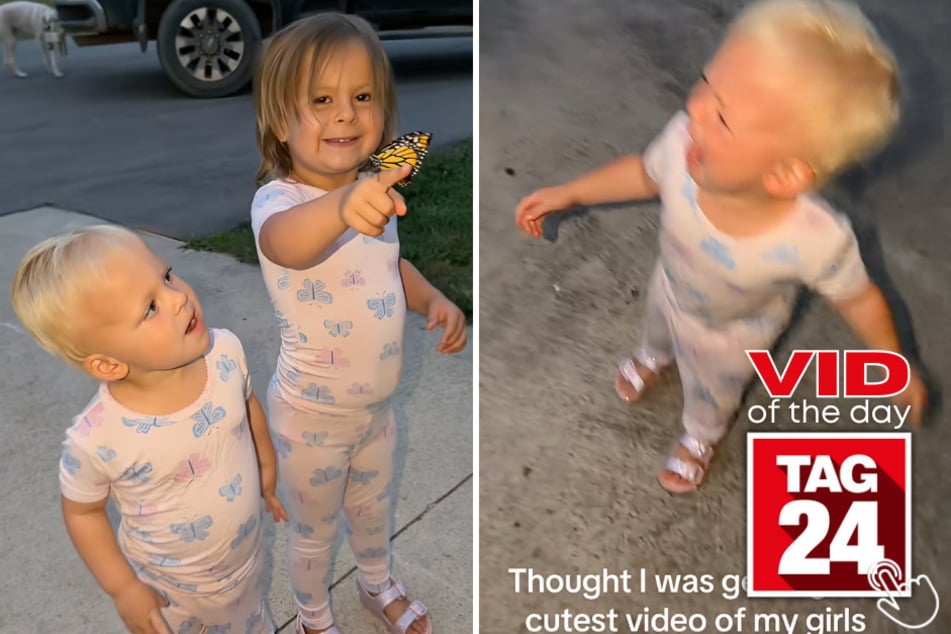 This mom thought she was filming the sweetest moment as her daughters released a butterfly together – and then everything went wrong.