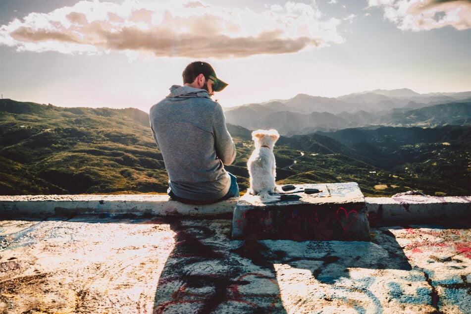 Support is an important part of dog ownership - if your dog knows you love it, it'll behave better.