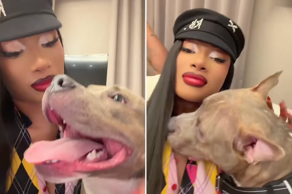 Megan Thee Stallion gushes over her "new son" after rescuing adorable dog from death