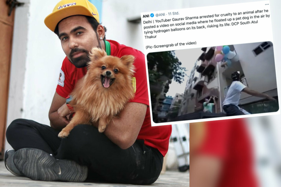 YouTuber arrested for animal abuse after outrageous flying dog stunt