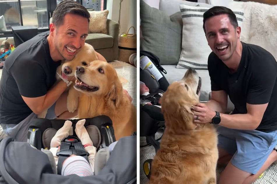 Eager dogs meet newborn baby brother, and their adorable reaction is priceless