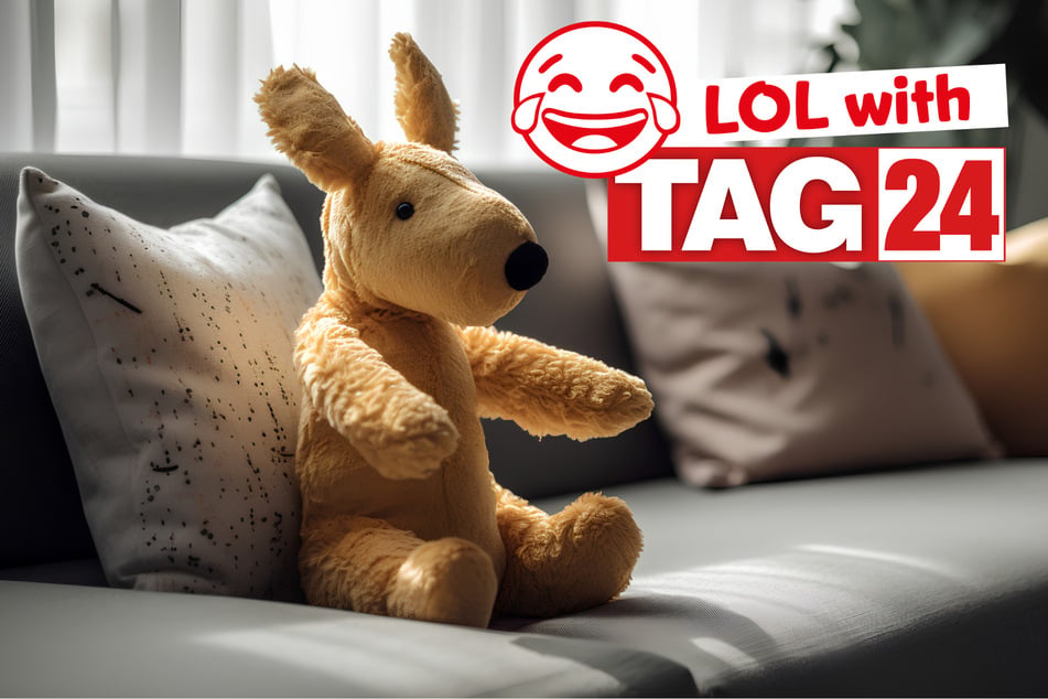 Today's Joke of the Day is a lazy one!