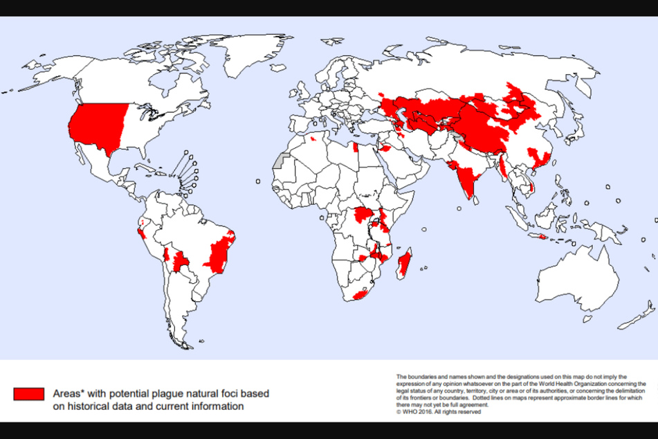 There were nine cases of bubonic plague reported in the US in 2020, two of which were fatal.