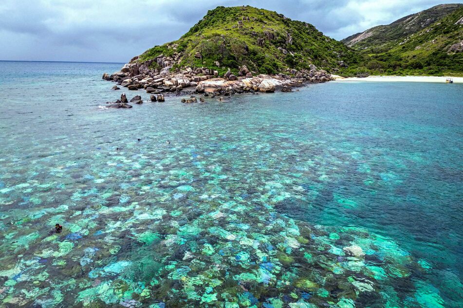 Scientists say the Great Barrier Reef is at risk of total "ecosystem collapse!"