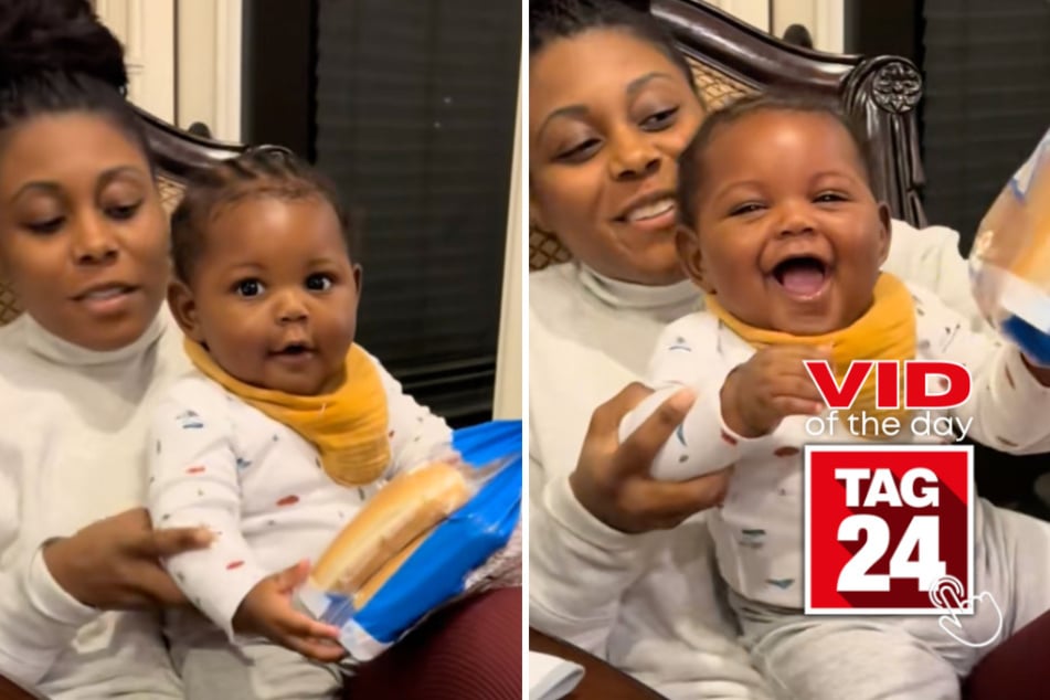 Viral Video of the Day for October 24, 2026: Baby's tiny bread-boxing workout has TikTok completely losing it!