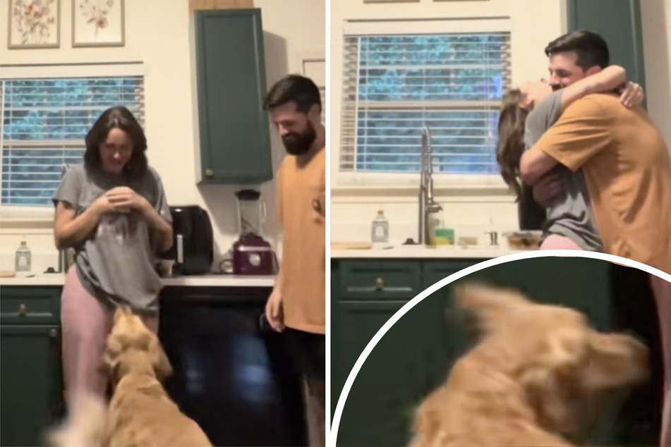 Dog's enchanting reaction to seeing her owners hugging is so heartwarming