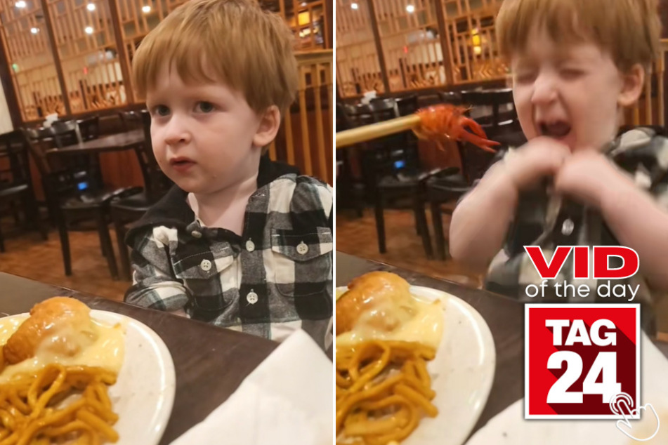 Today's Viral Video of the Day stars a little kid who had a wild first encounter with a crawfish.