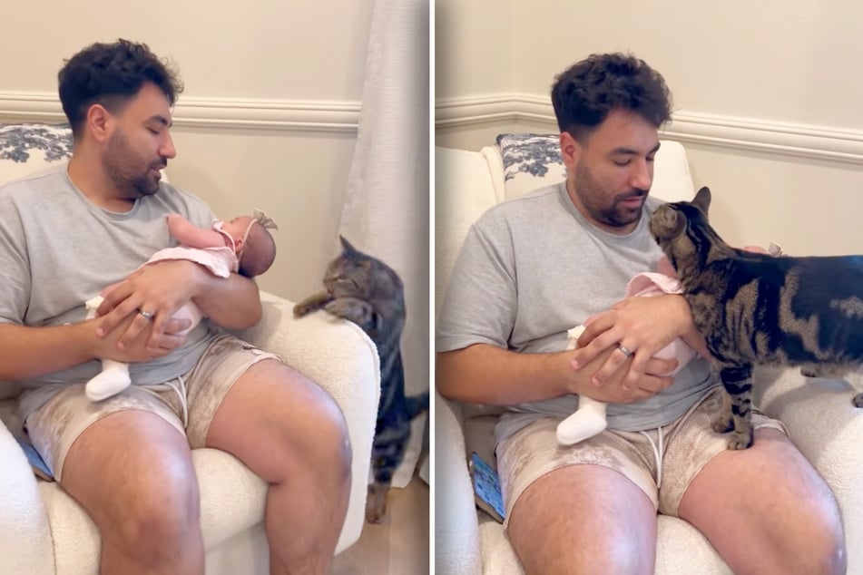 "Jealous" cat has adorably sassy reaction to owner kissing baby daughter