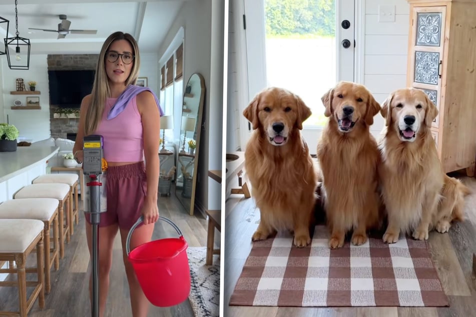 Dogs throw wild pool party behind their mom's back in hysterical footage!