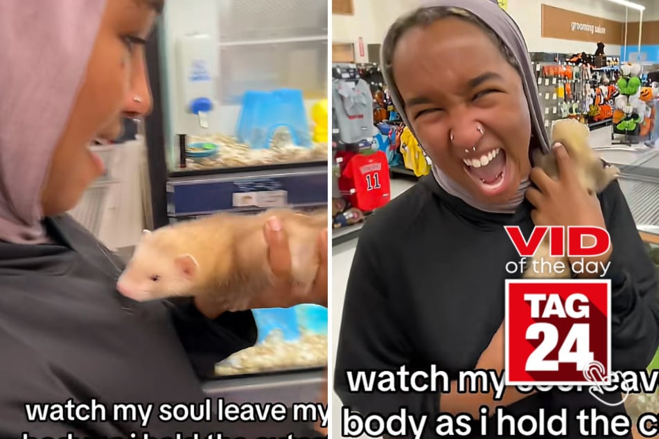 Viral Video of the Day for September 8, 2026: Ferret crawls into girl's hijab at pet store, sending her into hysterics