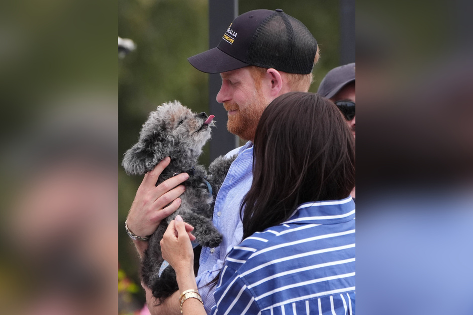 ... and the royal can't resist!