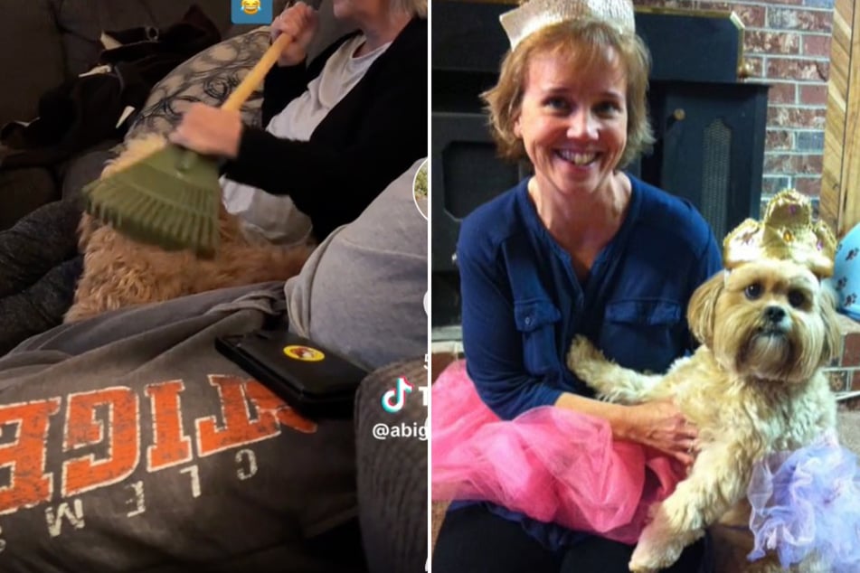 Dog owner's very strange way of petting her pup riles up TikTok