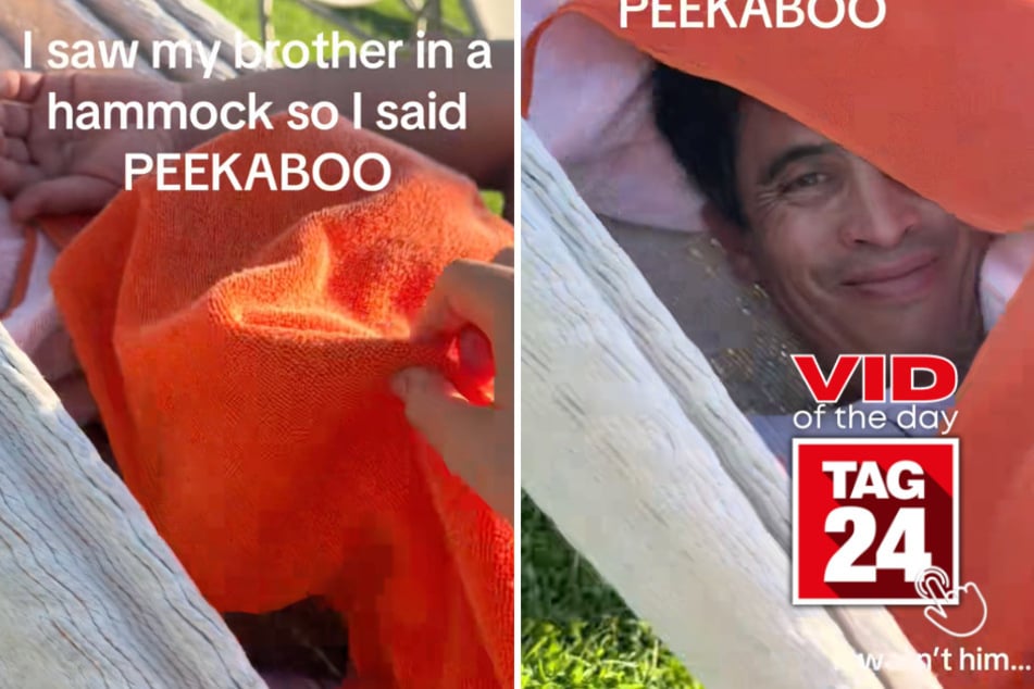 Viral Video of the Day for June 3, 2026: Peekaboo goes hilariously wrong in case of mistaken identity!