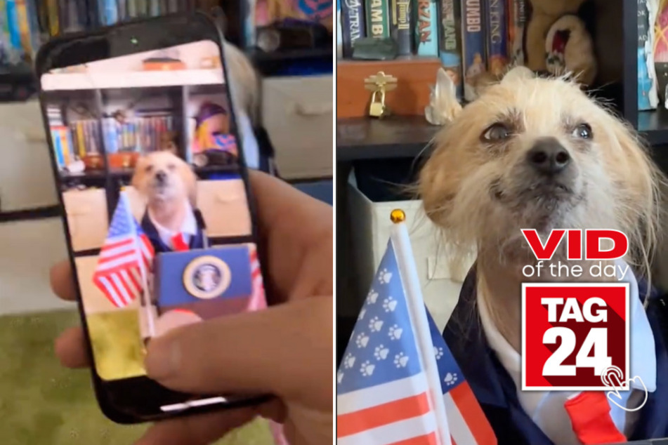 Viral Video of the Day for March 2, 2024: Presidential pup makes millions smile