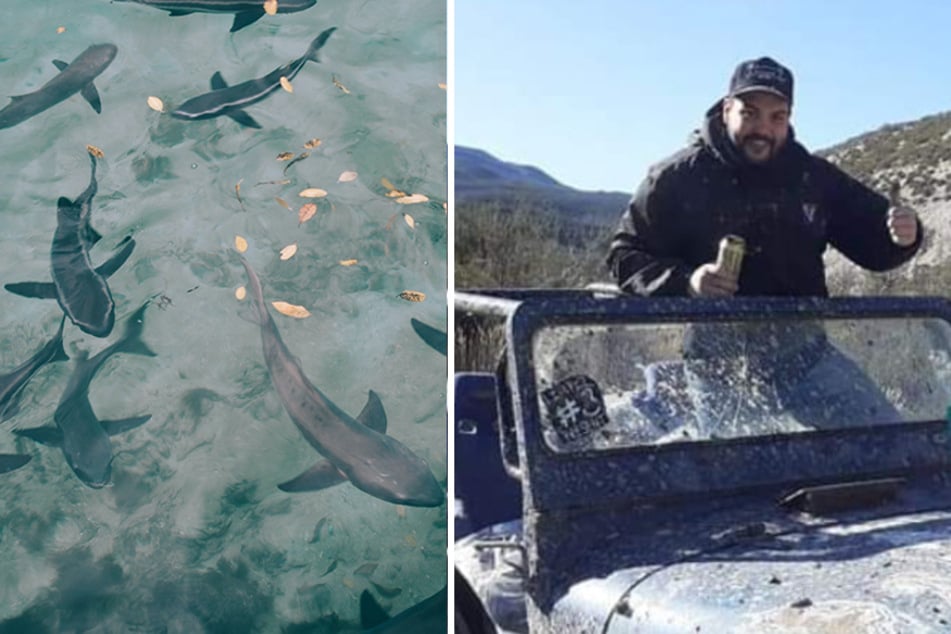 Diego Barría's family used one of his arm tattoos to identify his remains that were located inside a school shark.