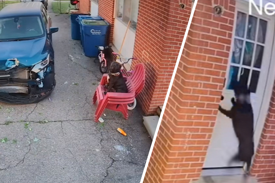 Dog owner makes heartshattering mistake while half-asleep: "She was convinced we abandoned her"