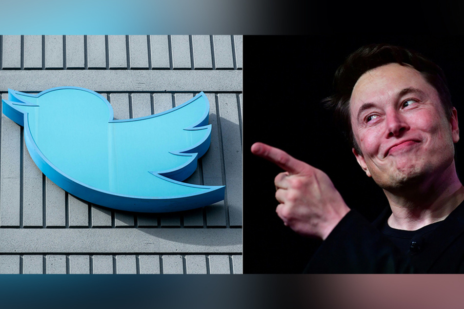 Elon Musk rolls out "Freedom Fridays" on Twitter, and the internet has questions
