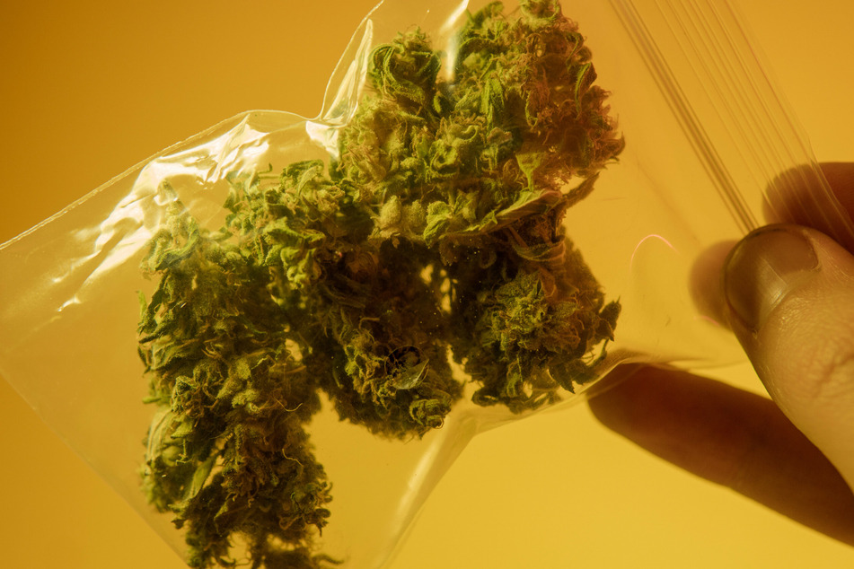 Austinites to vote on decriminalizing cannabis and ending no-knock warrants