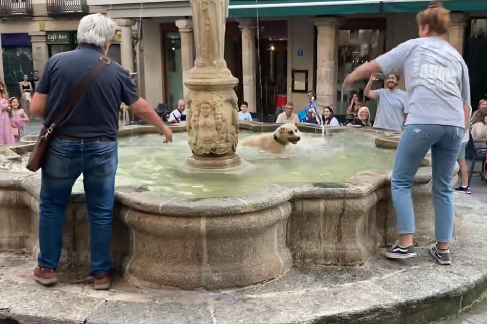 Anina Castilla Pelaéz had to jump into a fountain to get her dog, Vela, out as she playfully swam.