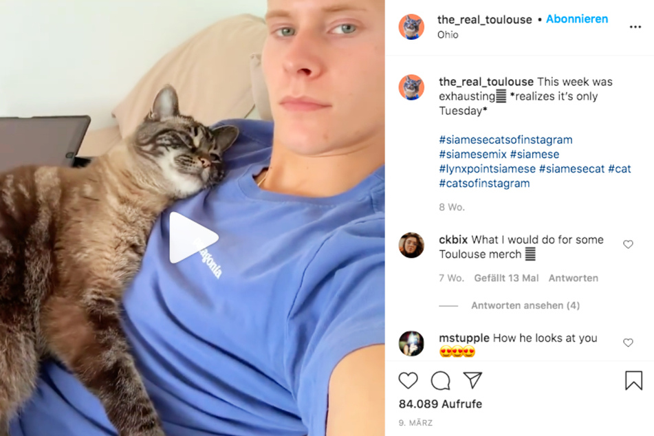 Toulouse the kitten absolutely adores his owner Tyler Nock.