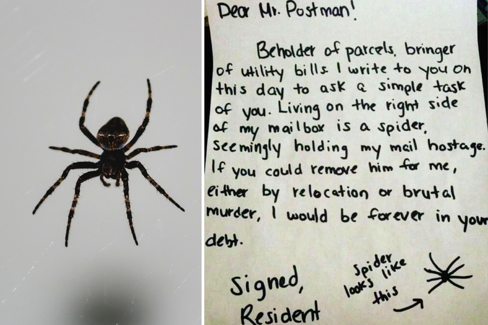 A spider is the reason this man is no longer able to pay his bills (stock image).