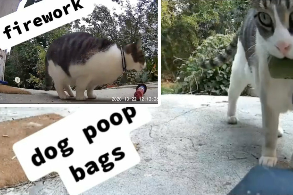 China stole fireworks (l)! and dog poop bags.