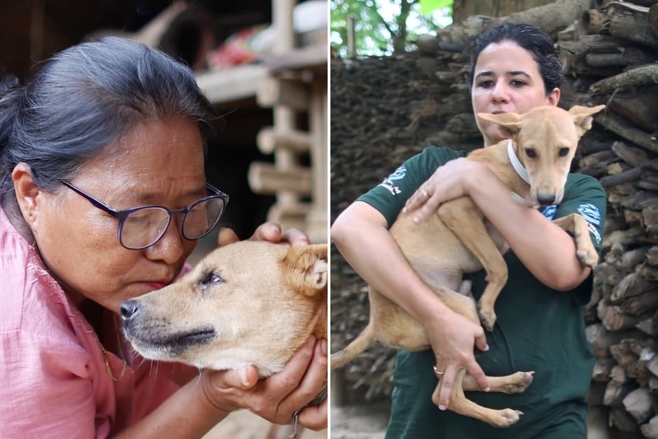 Some dogs were adopted right away after the rescue operation.
