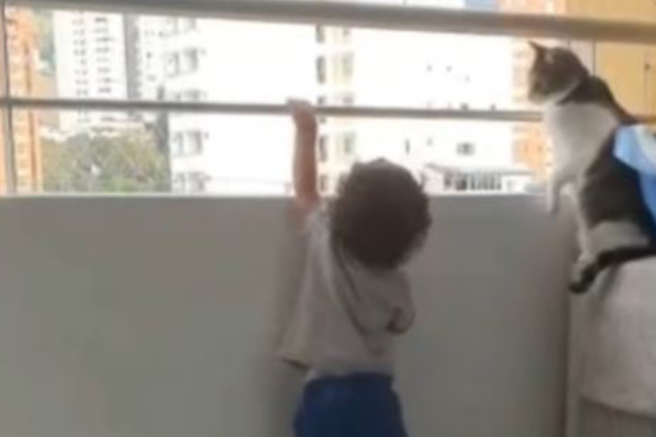 Toddler puts himself in dangerous situation but his caring cat comes to the rescue!