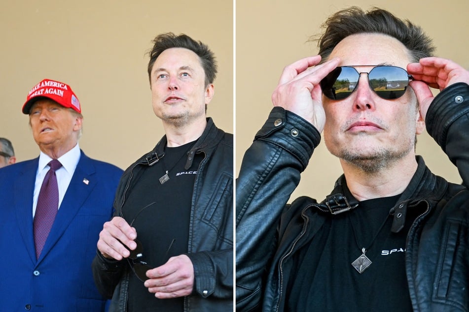 Elon Musk considers buying MSNBC in ultimate troll move: "Funniest idea ever!!!!"