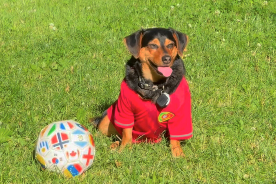 One might almost think that the young goalkeeper is going to give the Portuguese a run for his money at this year's World Cup!